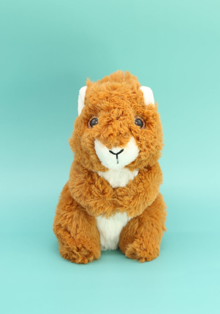 Squirrel Soft Toy - Worry Yummy